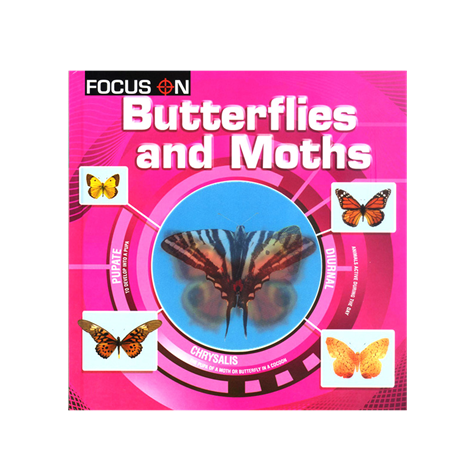 FOCUS ON - BUTTERFLIES AND MOTHS