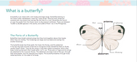 A First Look At Philippine BIRDS, BUTTERFLIES & FISHES Board Book